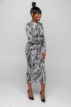 Zebra Skirt Set